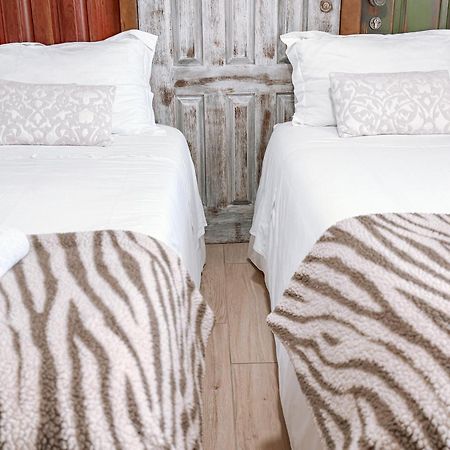 Ninho D'Arara Bed and Breakfast Tondela Exteriör bild
