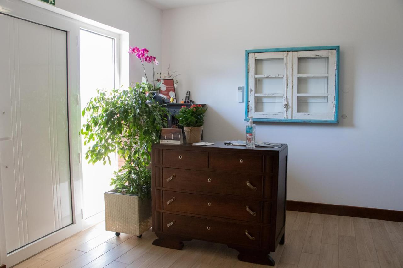 Ninho D'Arara Bed and Breakfast Tondela Exteriör bild